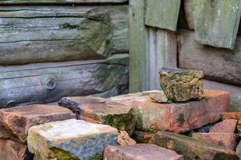 Old bricks. Stock Photos