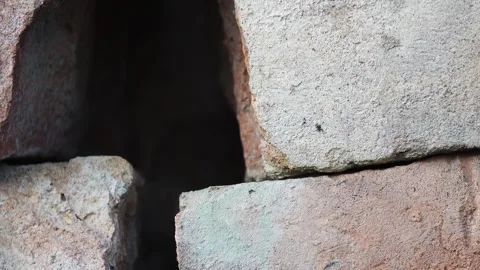 Old bricks stacked near the wall. Stock Footage 158025171