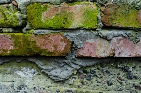 Old bricks wall with lichens and moss Stock Photos