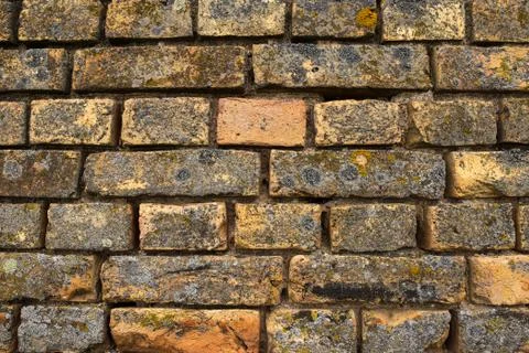 Old bricks wall. Moss-covered bricks Stock Photos