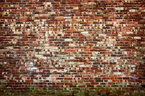 Old brickwall Stock Photos