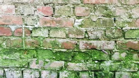 Old brickwork wall with rough cement joints Stock Photos