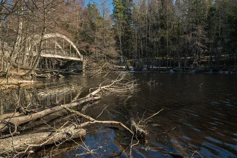 Old bridge across the river Spring landscape in April of a forest river. Snow Stock Photos