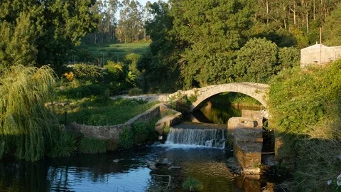 Old bridge and waterfall on Este River in Portugal with overhanging willow tree Stock Footage 112768597