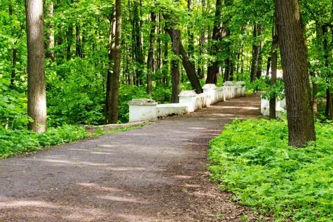 Old bridge in the back of the park Stock Photos