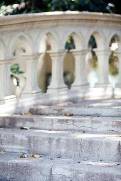 Old bridge on the background of trees Stock Photos
