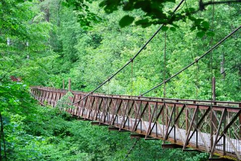 Old bridge in forest Stock Photos