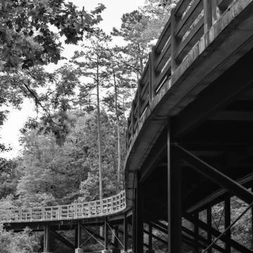 Old Bridge in the Forest Stock Photos