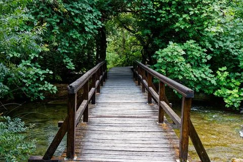 Old bridge in forest Stock Photos
