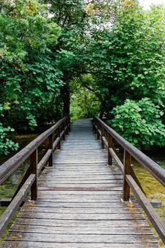 Old bridge in forest Stock Photos