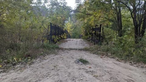 Old bridge in the forest Stock Photos