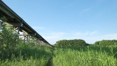 An old bridge in Japan lit up by the setting sun Stock Footage 279122424
