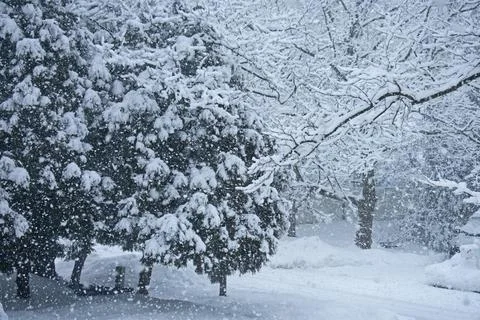 Old Bridge Mid Winter Snowfall -10 Stock Photos