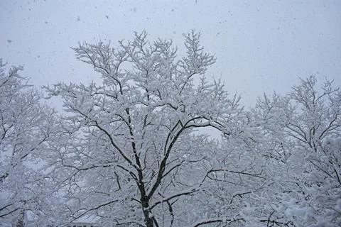 Old Bridge Mid Winter Snowfall -11 Stock Photos