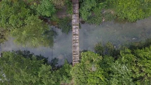 A old bridge in middle of forest Stock Footage 113847349