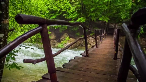 Old bridge over a river in a green forest Stock-Footage 85908876