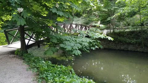 Old bridge over the river. Stock Photos