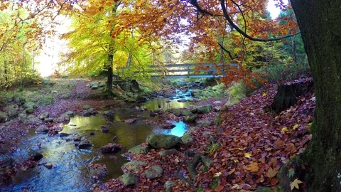 Old bridge over a small forest river. Stock Footage