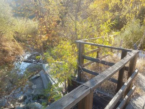 Old Bridge Over Stream in Forest Stock Photos