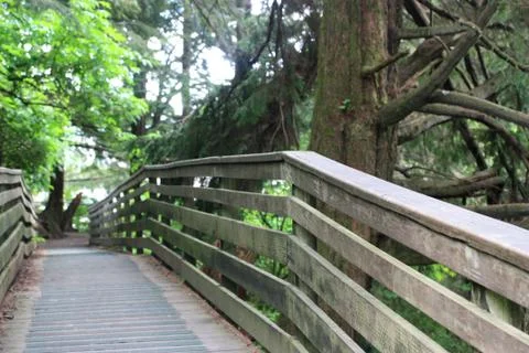 Old Bridge Stock Photos