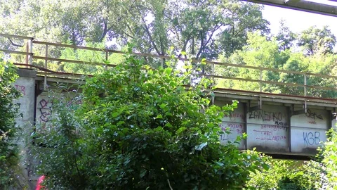 Old Bridge on the River and Small Train Vidéo 73198442