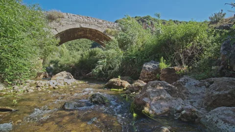 Old Bridge on a River Stock Footage 144419754