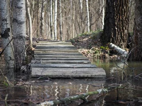 Old bridge to the stream in the birch forest Stock Photos