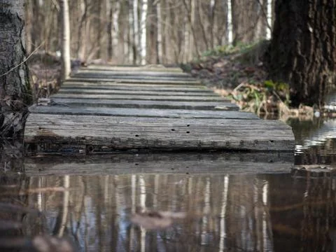 Old bridge to the stream in the birch forest Stock Photos