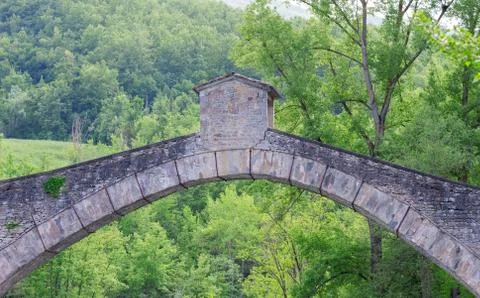 Old bridge through the trees Stock Photos