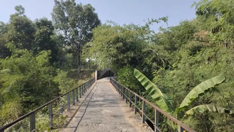 An Old Bridge with A Tropical Atmosphere Vidéo 339639035