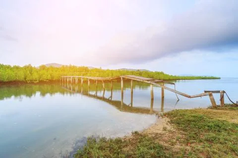 Old broken bridge in mangrove forest Stock Photos