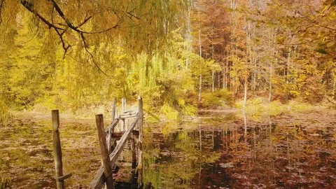 Old broken bridge over a pond Stock Footage 81265255