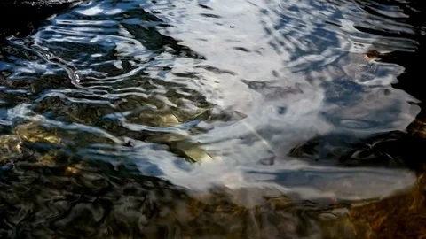 Old broken camera lost under water Stock Footage 76834590