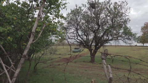 Old broken car left in a field Video stock 147200708