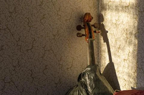 Old broken cello 写真素材