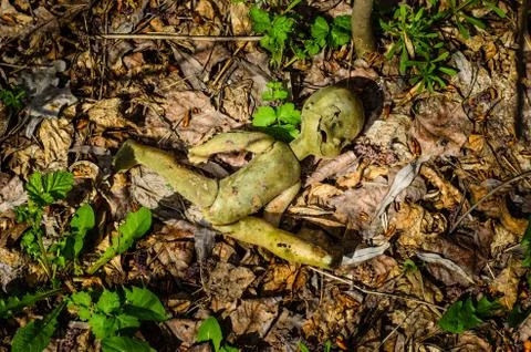 Old broken doll in forest Stock Photos