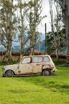 Old broken down car in grass with trees behind it. Stock Photos