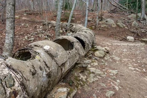 Old broken pipe in the nature Foto stock
