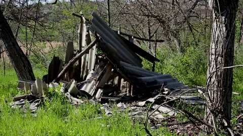 Old broken slate barn in the forest 库存影片 141991088