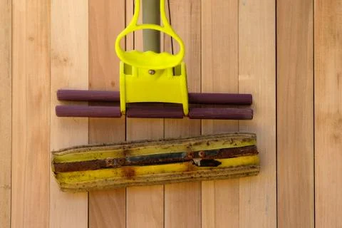 Old broken squeezed squeegee with a dirty soft sponge. Stock Photos