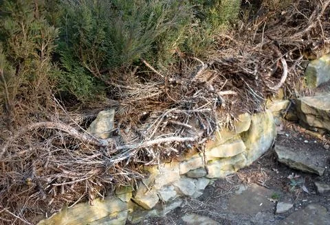 Old broken stone stairs. Stock Photos