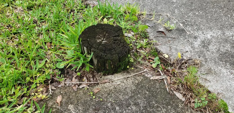 Old Brown Post Foto stock