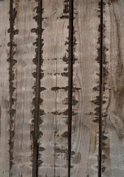Old brown rustic dark weathered wooden texture. Wooden background. Stock Photos