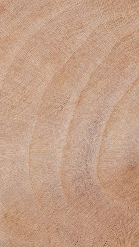 Old brown trunk board. Rustic wood background Stock Footage 333596864