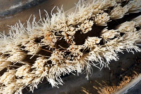 Old Brush Closeup Stock Photos