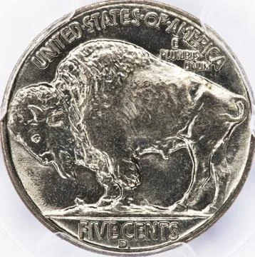 Old Buffalo Nickle. Stock Photos