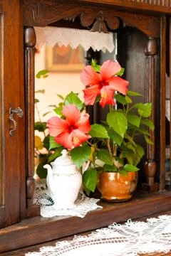 Old buffet Stock Photos