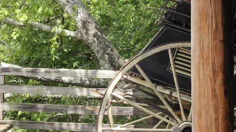 Old buggy with trees Stock Footage 25841747