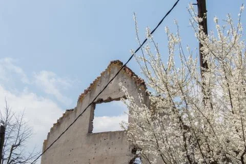 Old building 2 스톡 사진