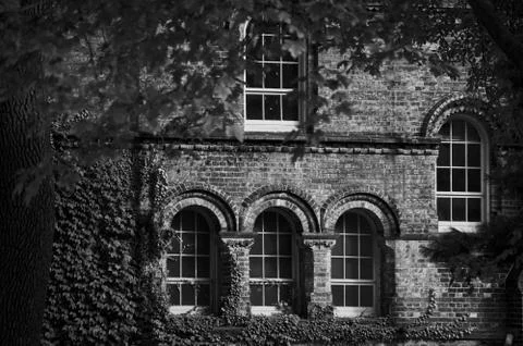 Old building facade made of brick with arch windows and ivy corner seen through Stock Photos